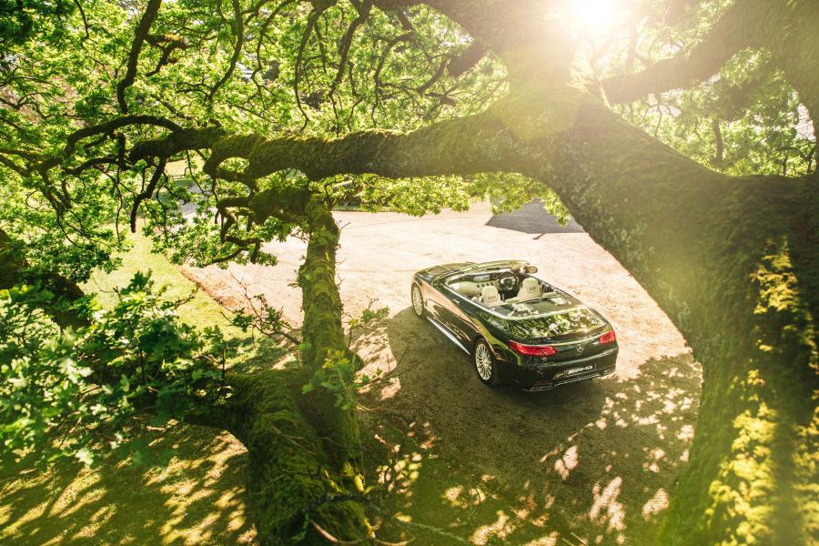  Mercedes-AMG S65 Cabriolet 2016 года  (AU) (фото 14 из 17)